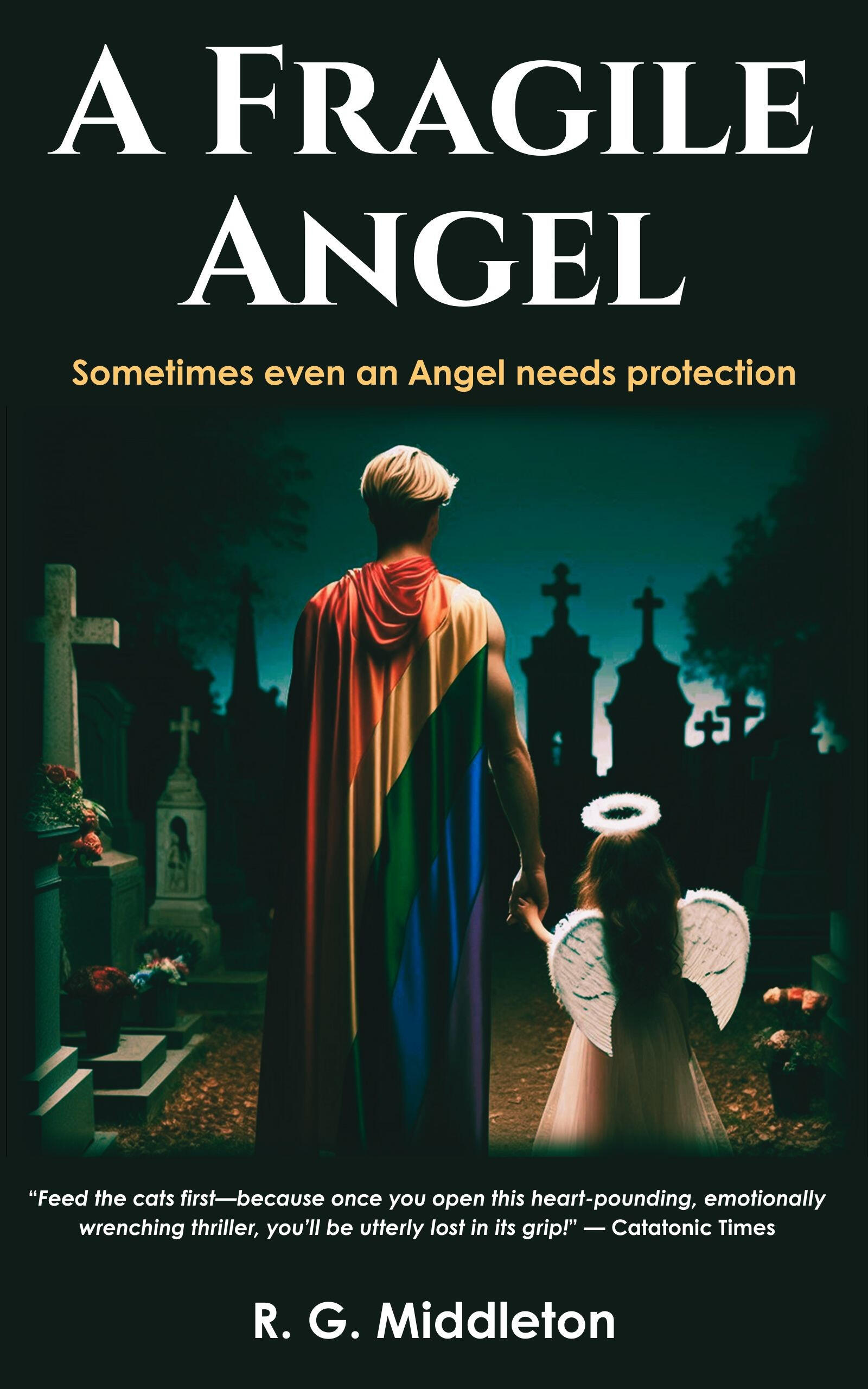 A Fragile Angel Book Cover